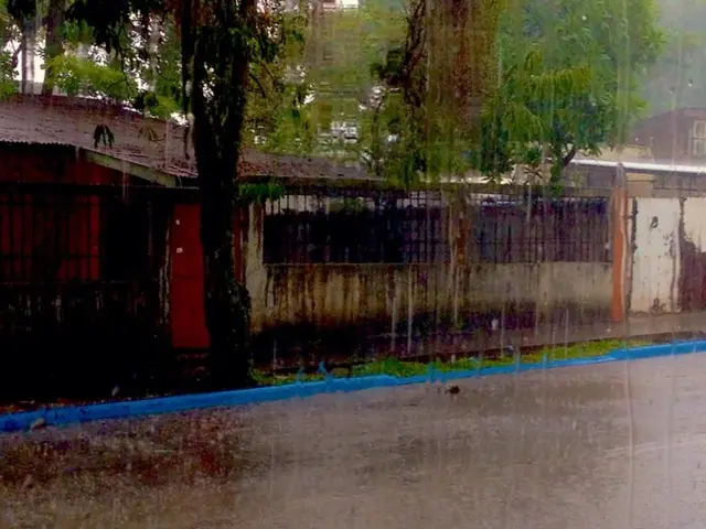 Schools will be shut on September 16, 2025 (Tuesday) in specified states, following heavy rains and...