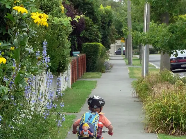 Commission requested to propose regulations for safeguarding youth in case of mishaps or accidents.