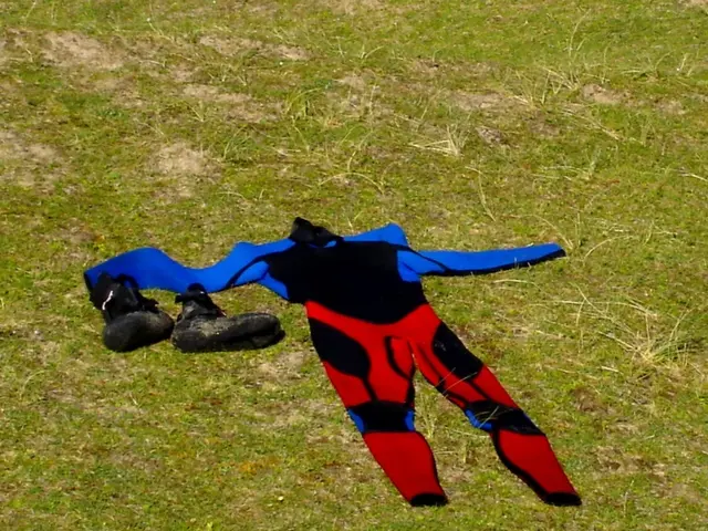 New Season's Ideal Footwear: The Exquisite Adidas Sneaker