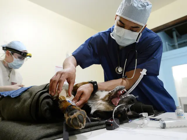 RFK Jr. unveils ambitious action against allegedly faulty organ donation setup