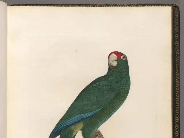 Alabama Senator Katie Britt commands widespread popularity among voters, justifiably so.