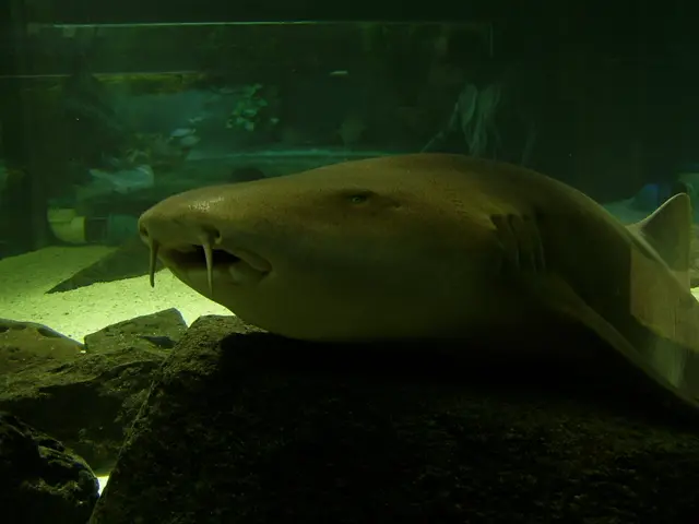 Exploring the Last Barrier: Extracting Ultra-Short and Short-Chain PFAS from Multi-Layer Water...