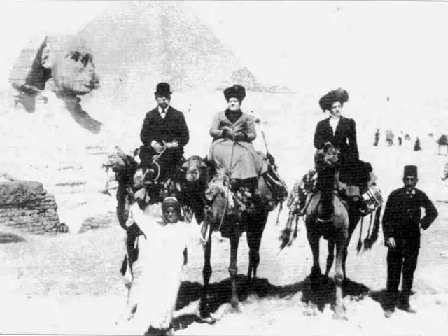 This is an old black and white image. I can see three camels. There are three people sitting on the...